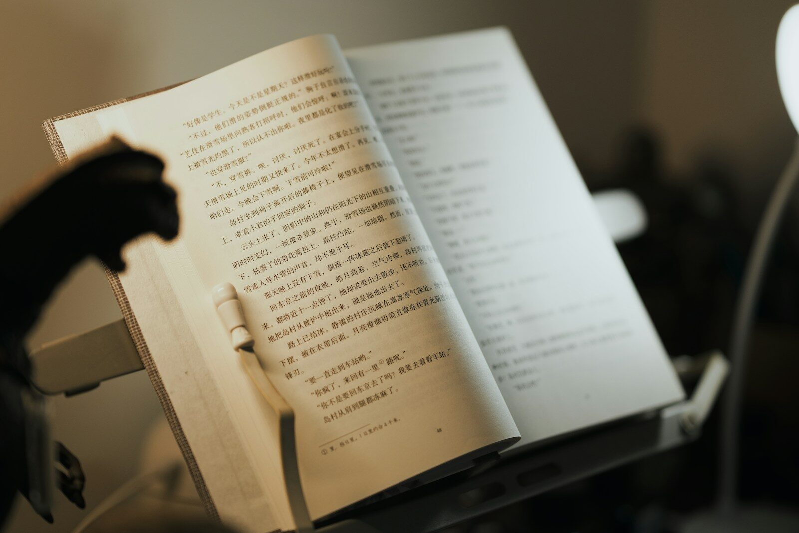 An open book sits on a stand.